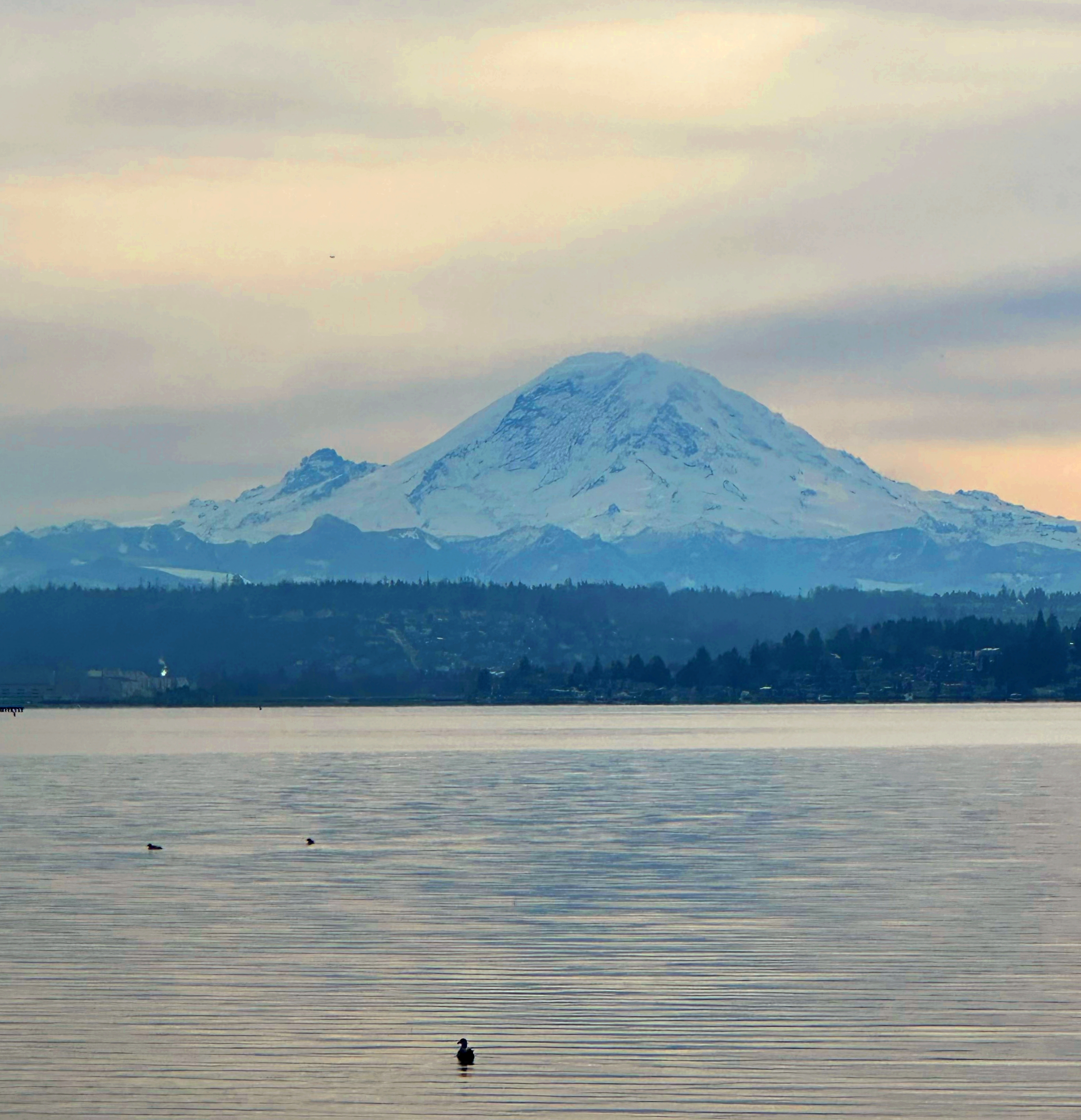 Mt. Rainier Twilight